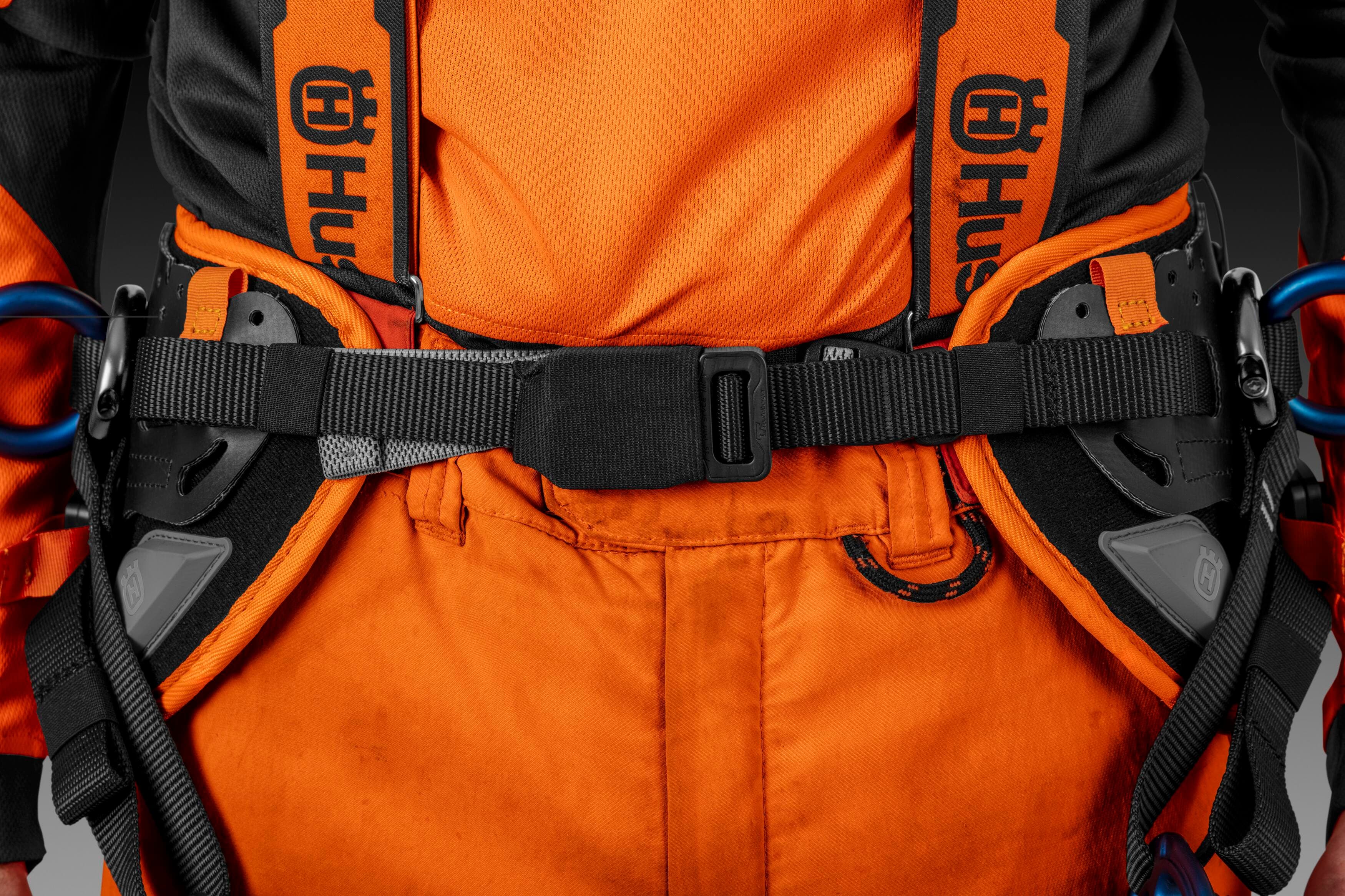 Climbing Harness image 2