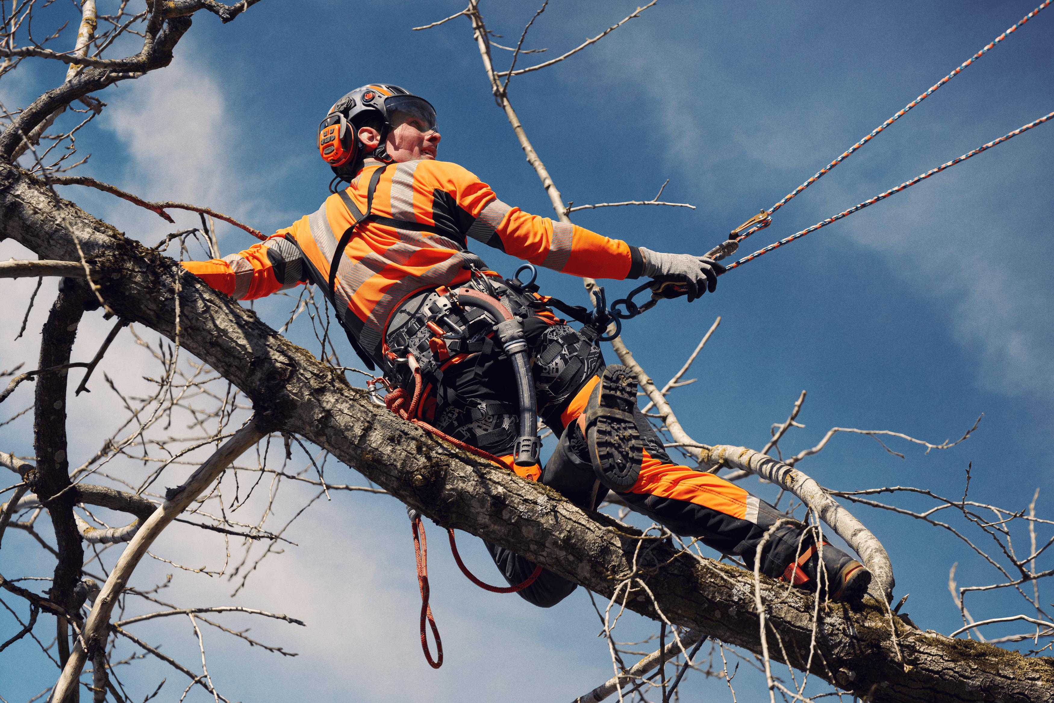Husqvarna x Skylotec Power Ascender image 2