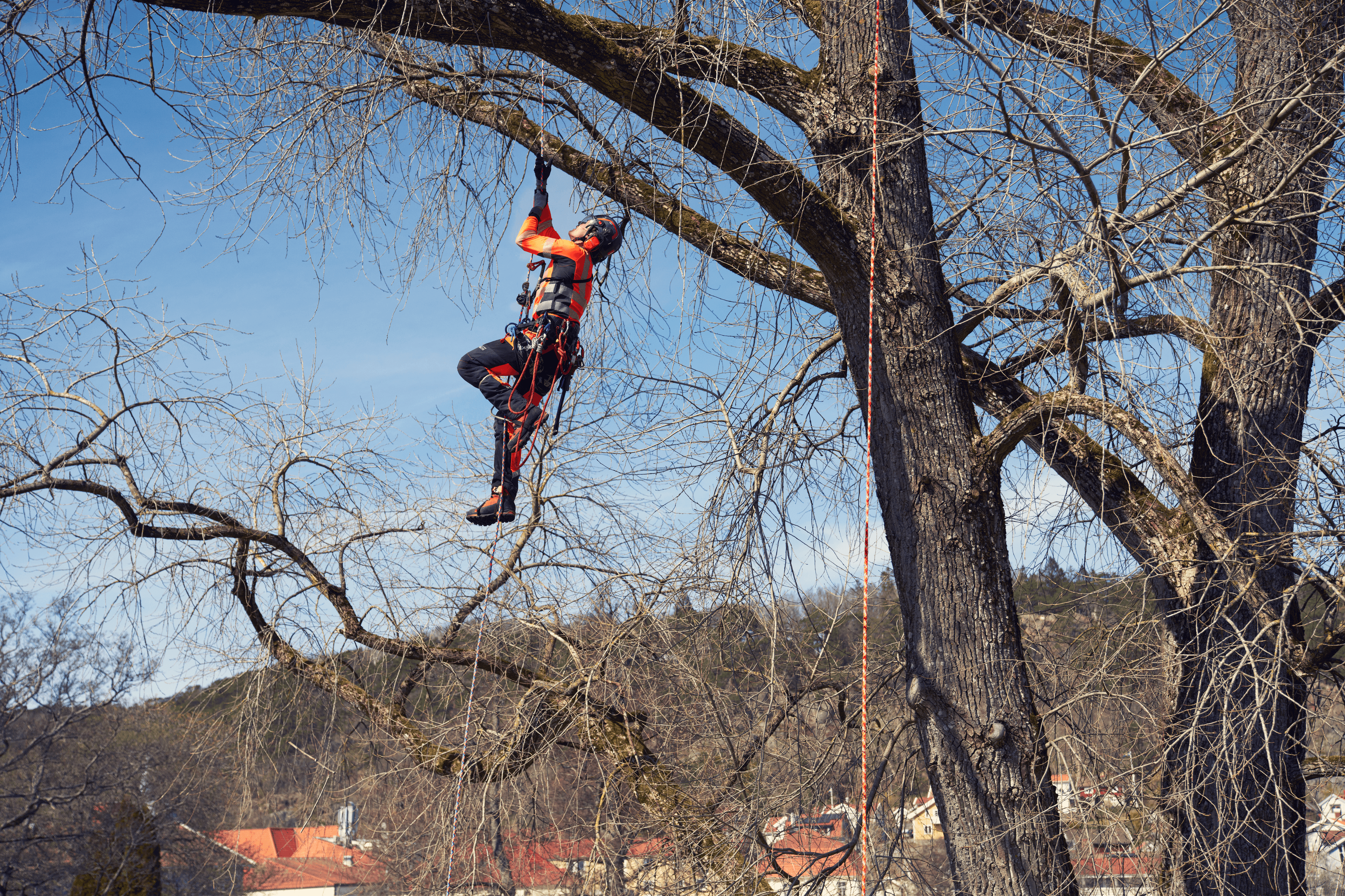 Husqvarna x Skylotec Power Ascender image 1